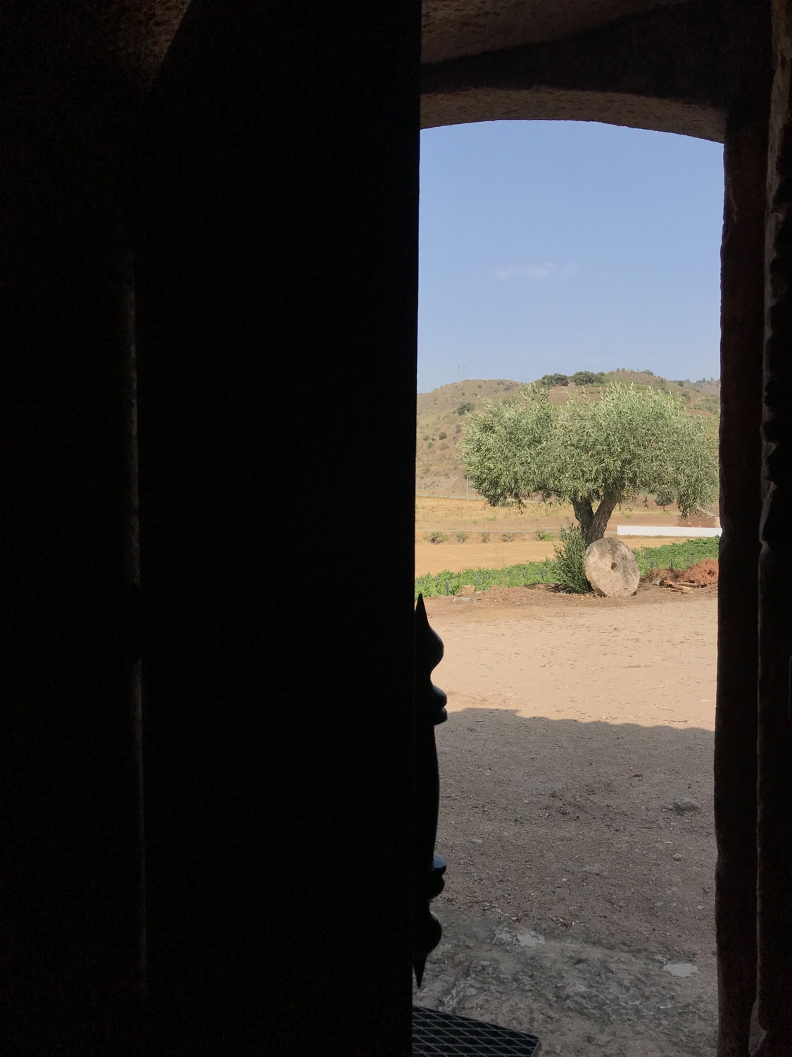 Casal dos Capelinhos, Quinta Nova, fotografia de espaços, fotografia de garrafas vinho, quintas, doc douro, vinhos doc, região demarcada do douro, ruidacruz