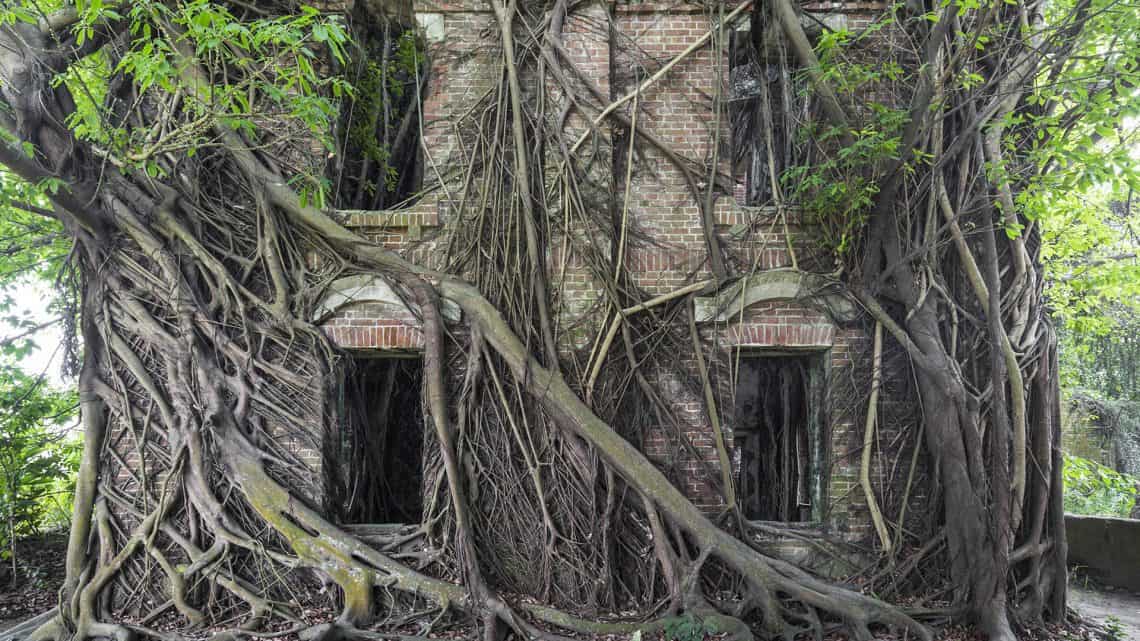 Natureza conquista Arquitetura abandonada - fotos de Jonk 1 Natureza conquista Arquitetura abandonada - fotos de Jonk Artes & contextos nature resurges to overtake abandoned architecture in a new book of photos by jonk