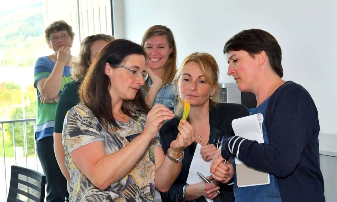 How to measure big pollen - Breakout session at the Amphacademy 2019