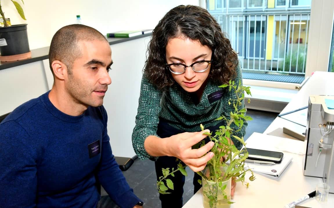 Hands-on measuring on the Ampha Z32 Pollen Analyzer - Breakout session at the Amphacademy 2019