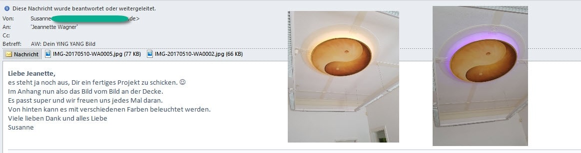 Kundenmeinung Yin Yang Energiebild