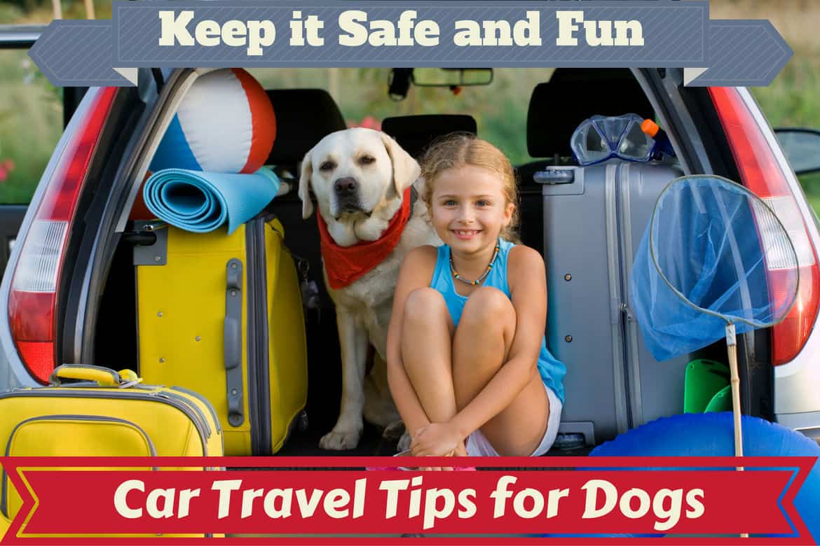 Car travel tips for dogs written below a young girl and lab sitting in open boot of a car
