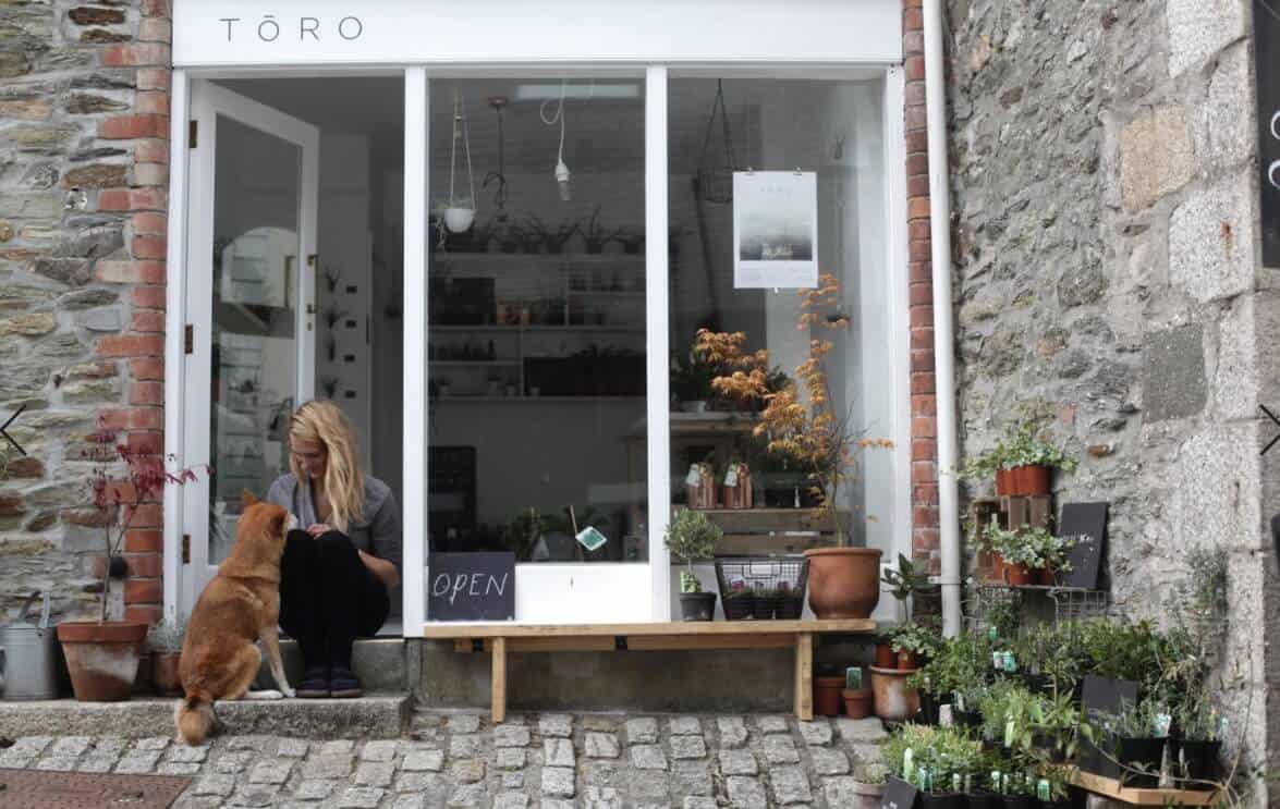 Toro-Studio-Falmouth