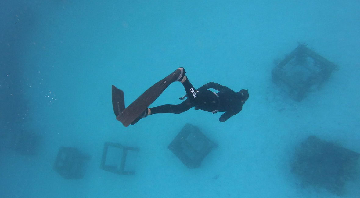 เรียน freediving