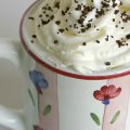 Hot Chocolate in a mug with whipped cream