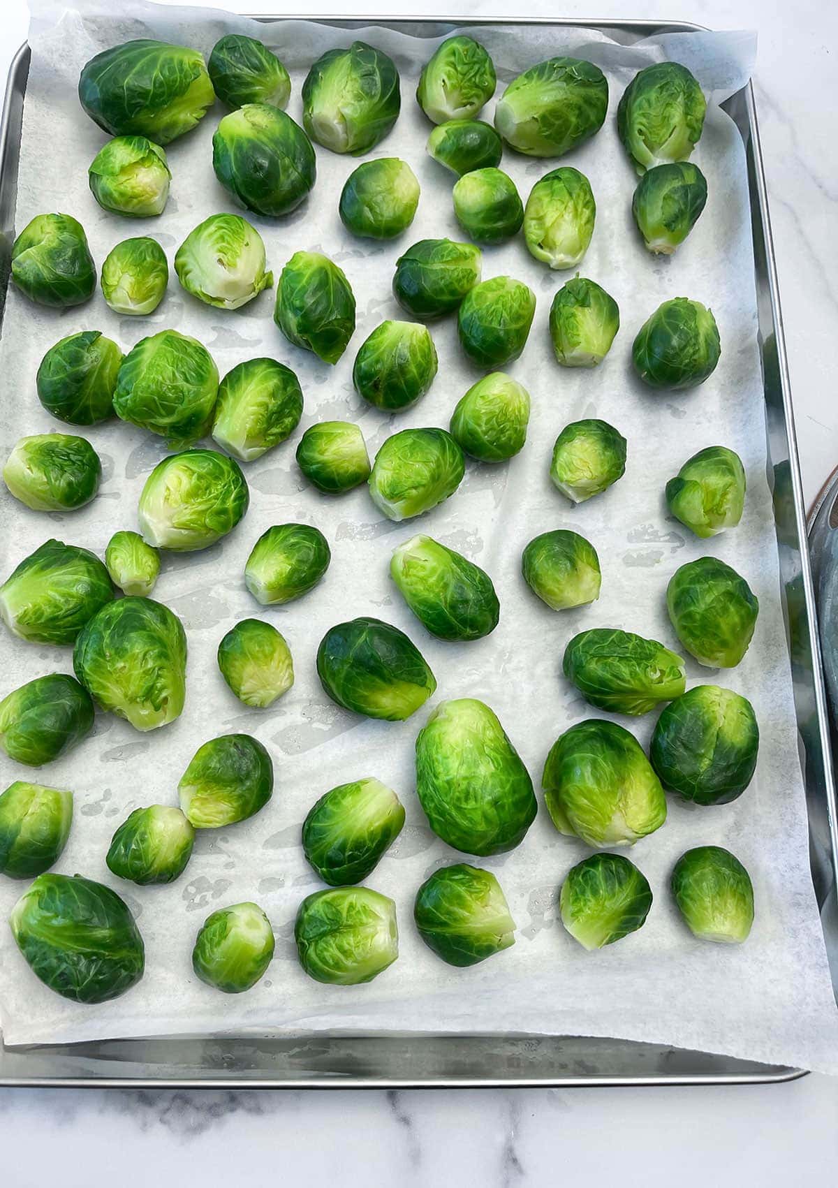 How To Freeze Brussels Sprouts? Healthier Steps