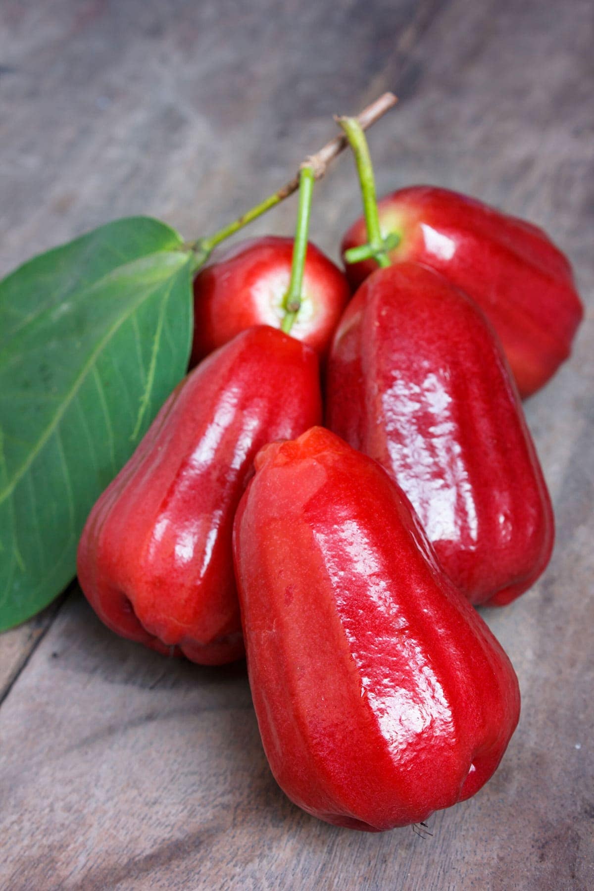 Otaheite Apple - Healthier Steps