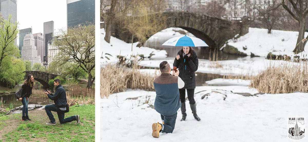 Central Park Proposal Tips Spots Best Places To Proposal In