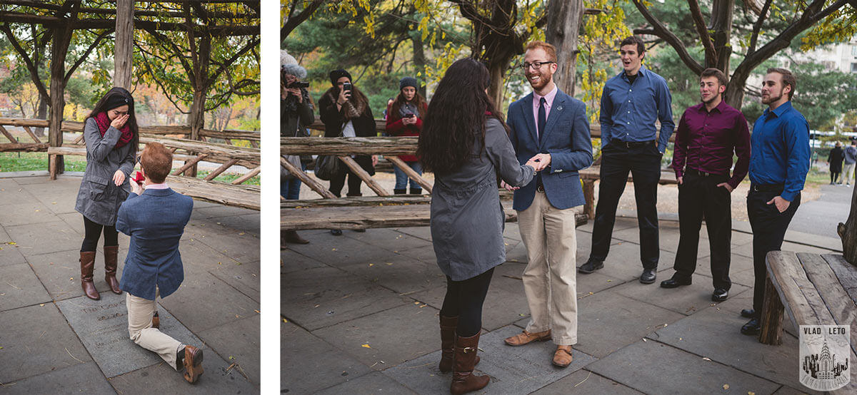 Photo 8 Central Park Proposal: Tips, Spots & Best Places to Proposal in Central Park | VladLeto | VladLeto