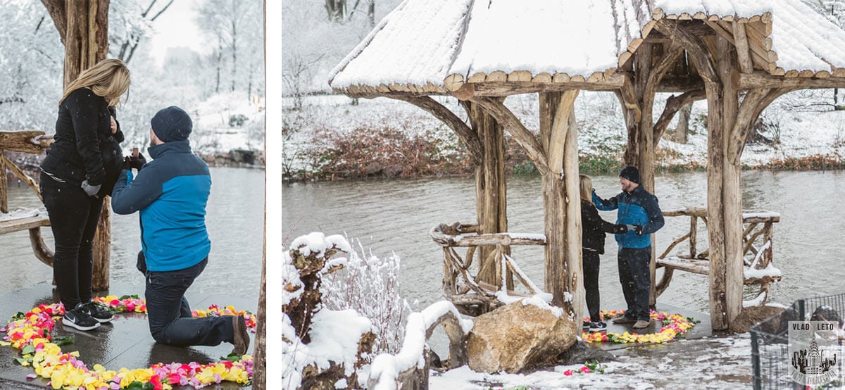 Central Park Proposal Tips Spots Best Places To Proposal In
