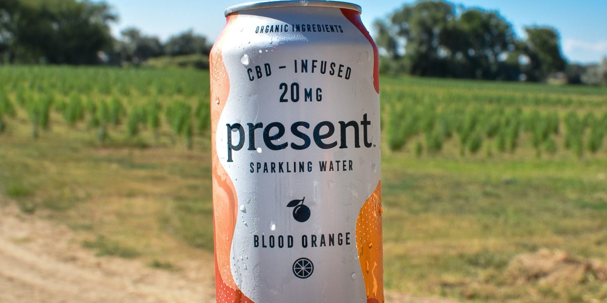 Present CBD-Infused Sparkling Water at the WAAYB Organics Hemp Farm