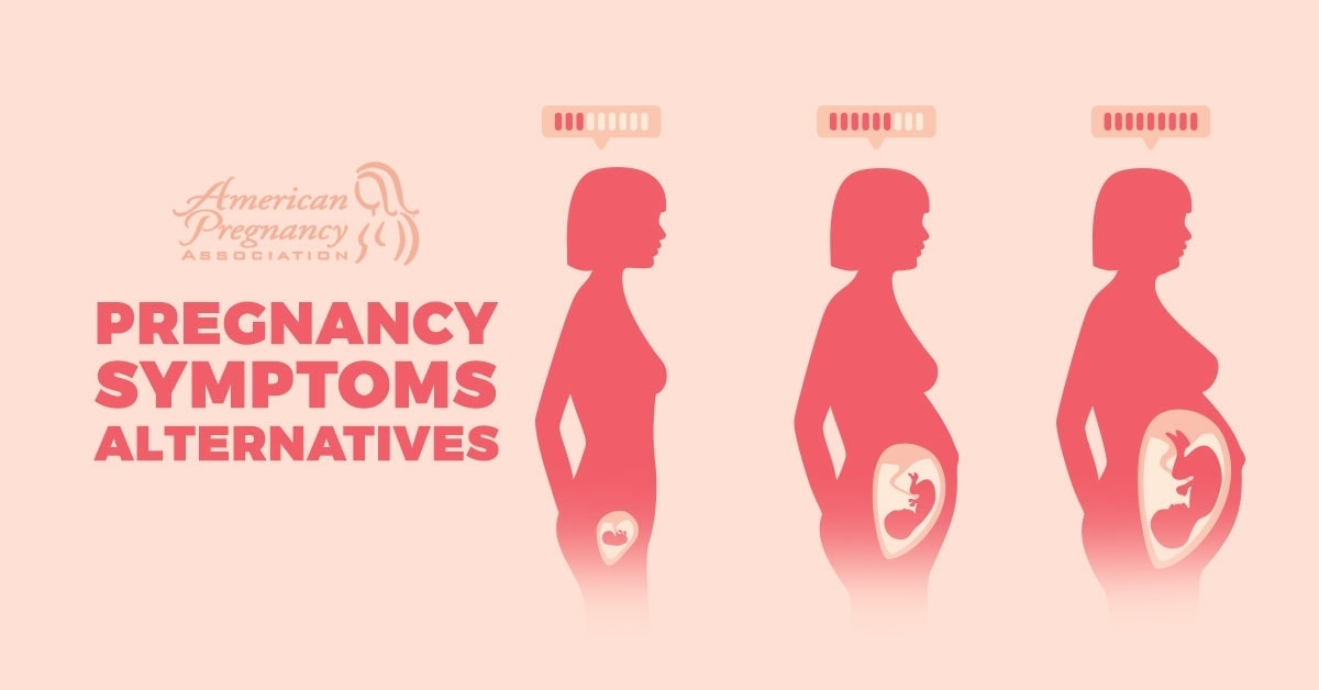 Image result for Pregnancy Symptoms