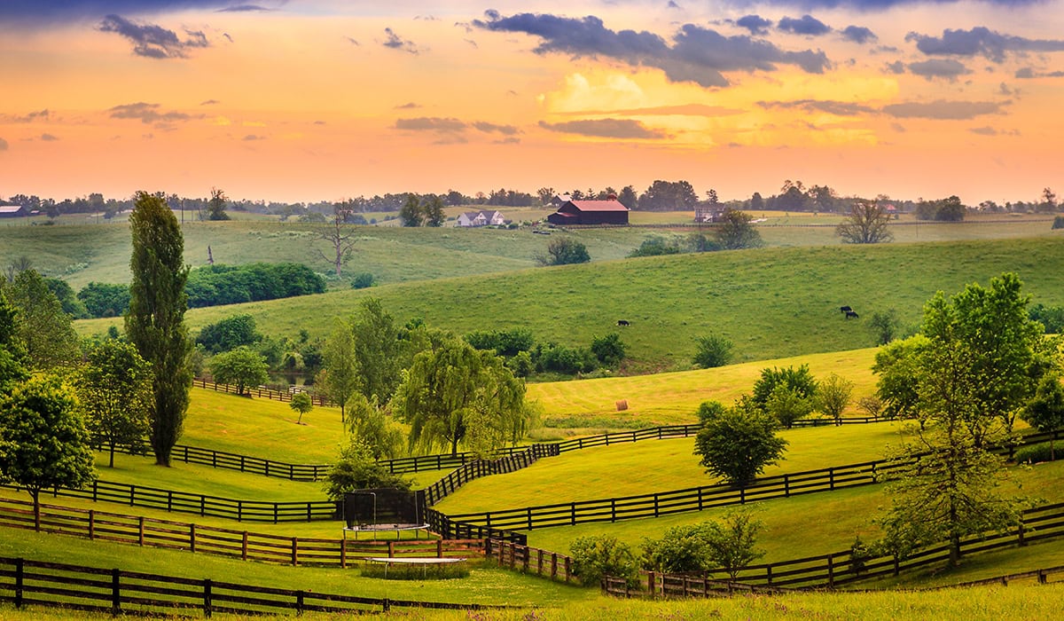Bluegrass