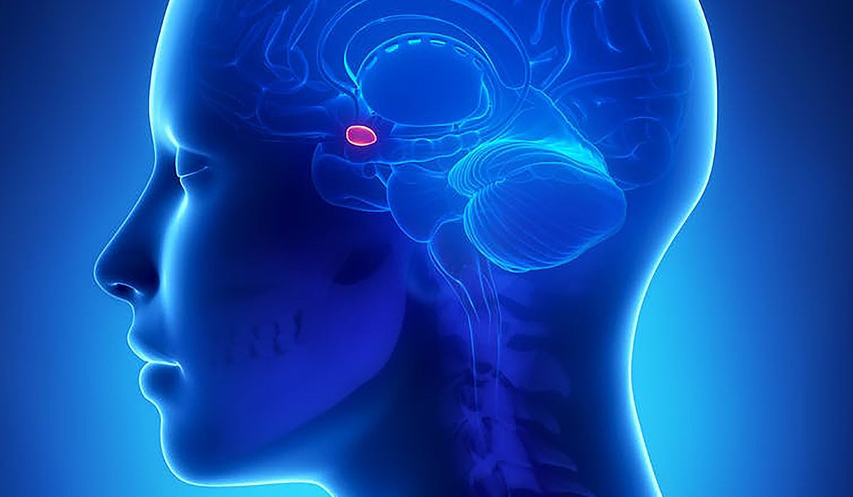 Fear Can Spread From Person To Person Faster Than The Coronavirus But There Are Ways To Slow It Down