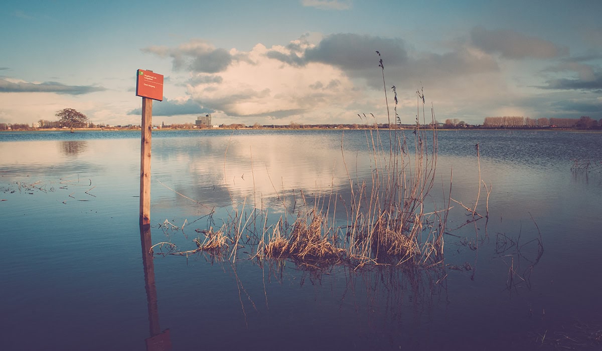 Rising Water Level In The Floodplains Of The River IJssel,