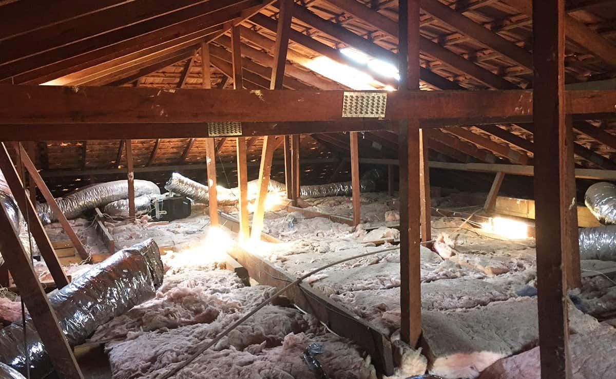 a1 attics project coogee before