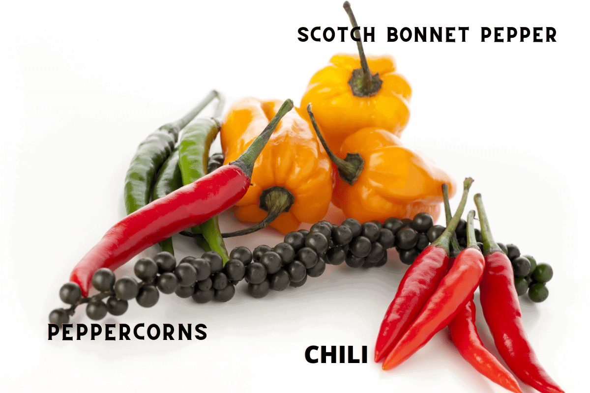 Scotch Bonnet Pepper Healthier Steps