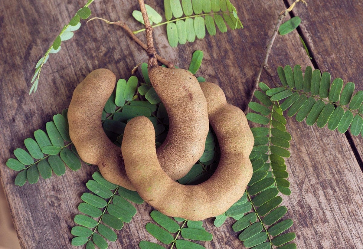 Tamarind Juice Recipe Healthier Steps Tamarind Juice Recipe Healthier Steps