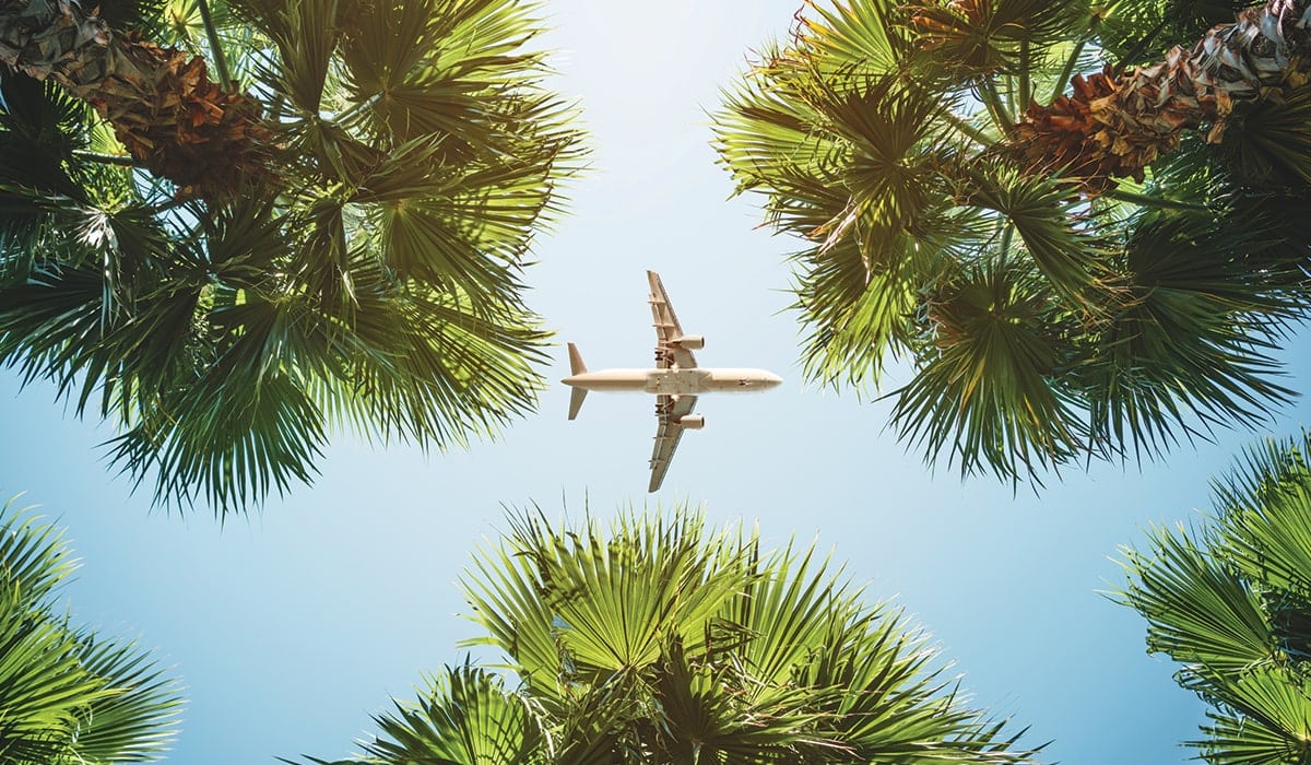 Looking up at an airplane framed by trees