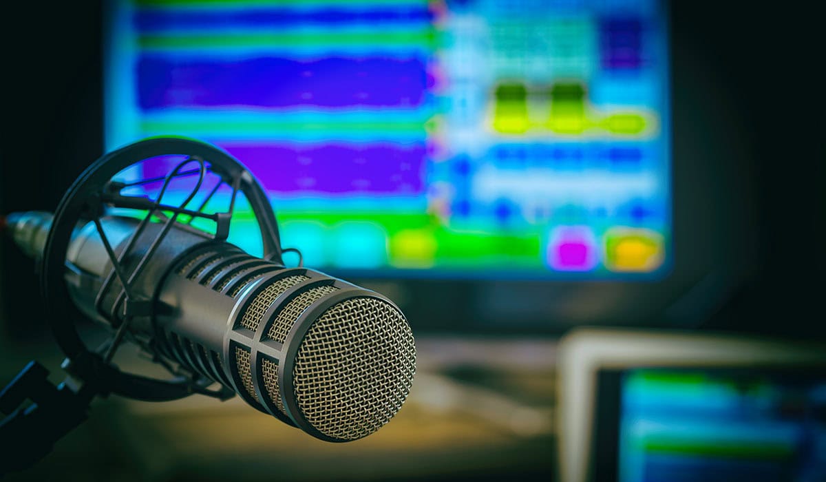 Professional Microphone
