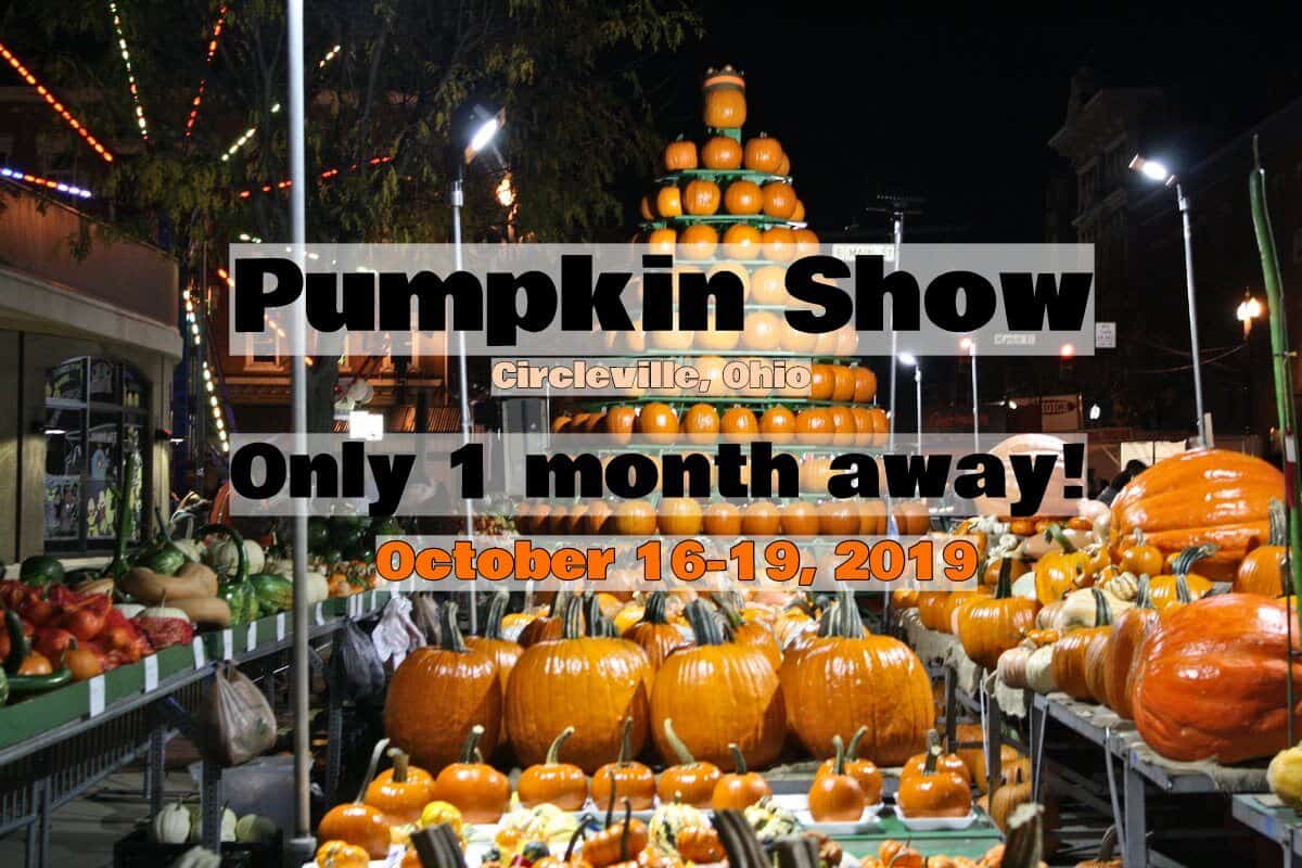 One Month Until Start of 2019 Pumpkin Show