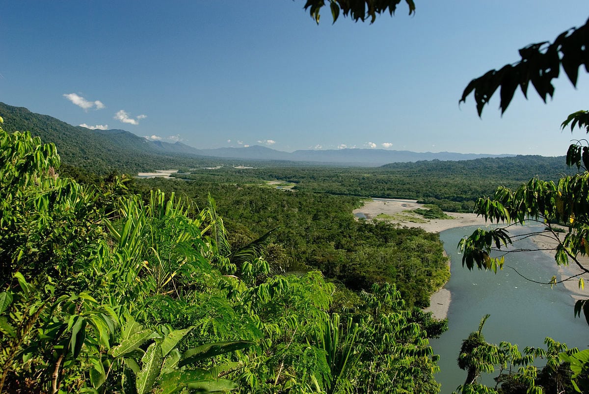 Top 10 National Parks in the World- Manu National Park