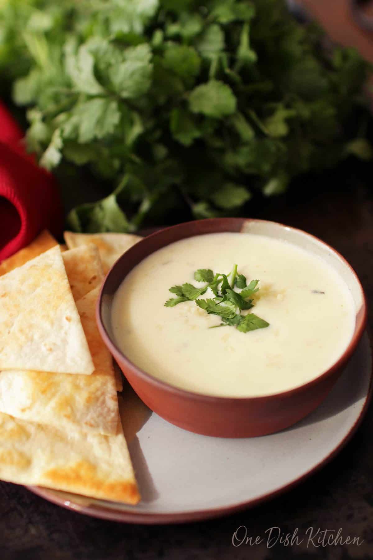 Easy 3 Ingredient White Queso Recipe Small Batch One Dish Kitchen