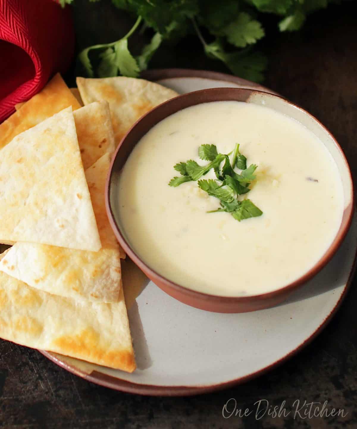 Easy 3 Ingredient White Queso Recipe Small Batch One Dish Kitchen