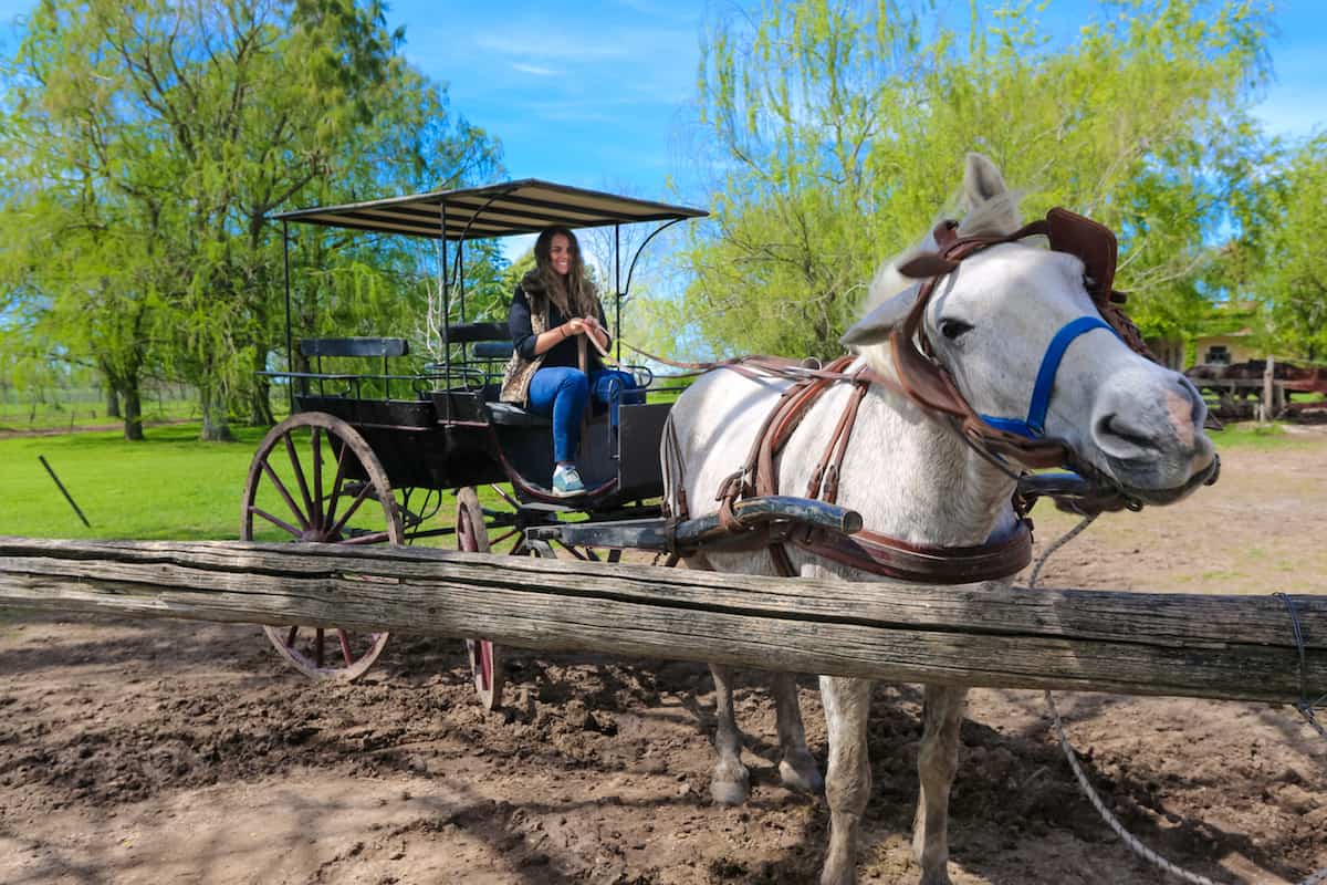 Gaucho Tour