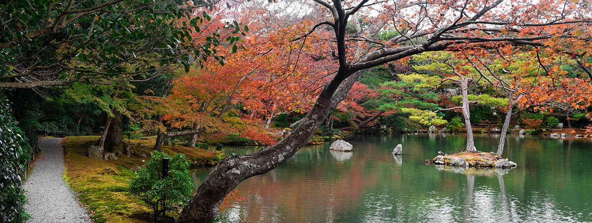 Kinkaku-ji 金閣寺 – Kyōto 57 Gardens at the Golden Temple in Kyoto