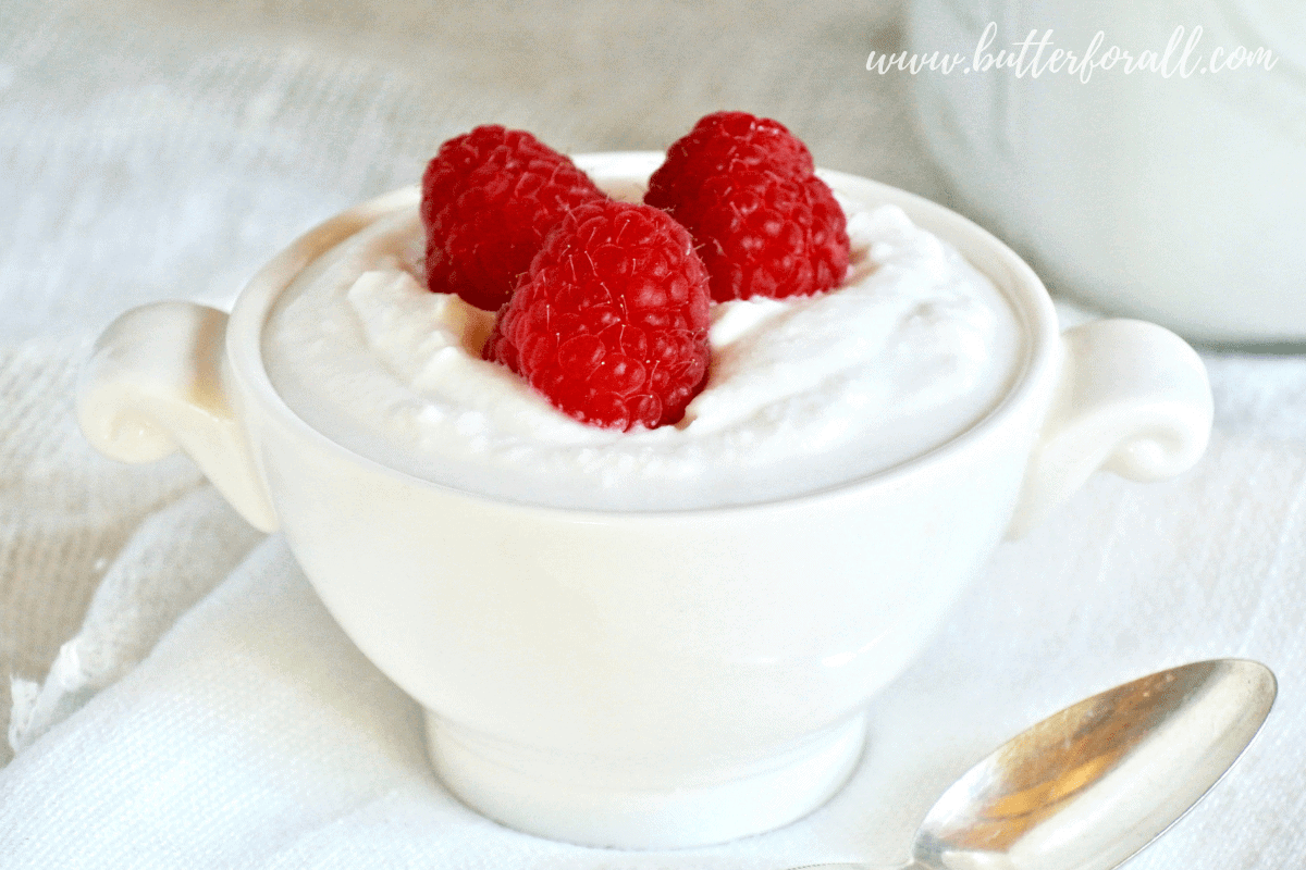 A bowl full of rich and creamy coconut yogurt is a great source of gut friendly probiotics and healthy fats!
