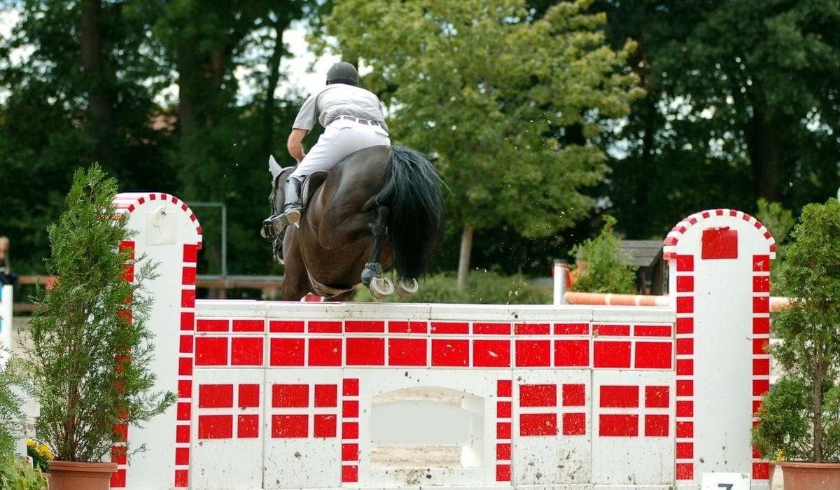 Horse wall jump