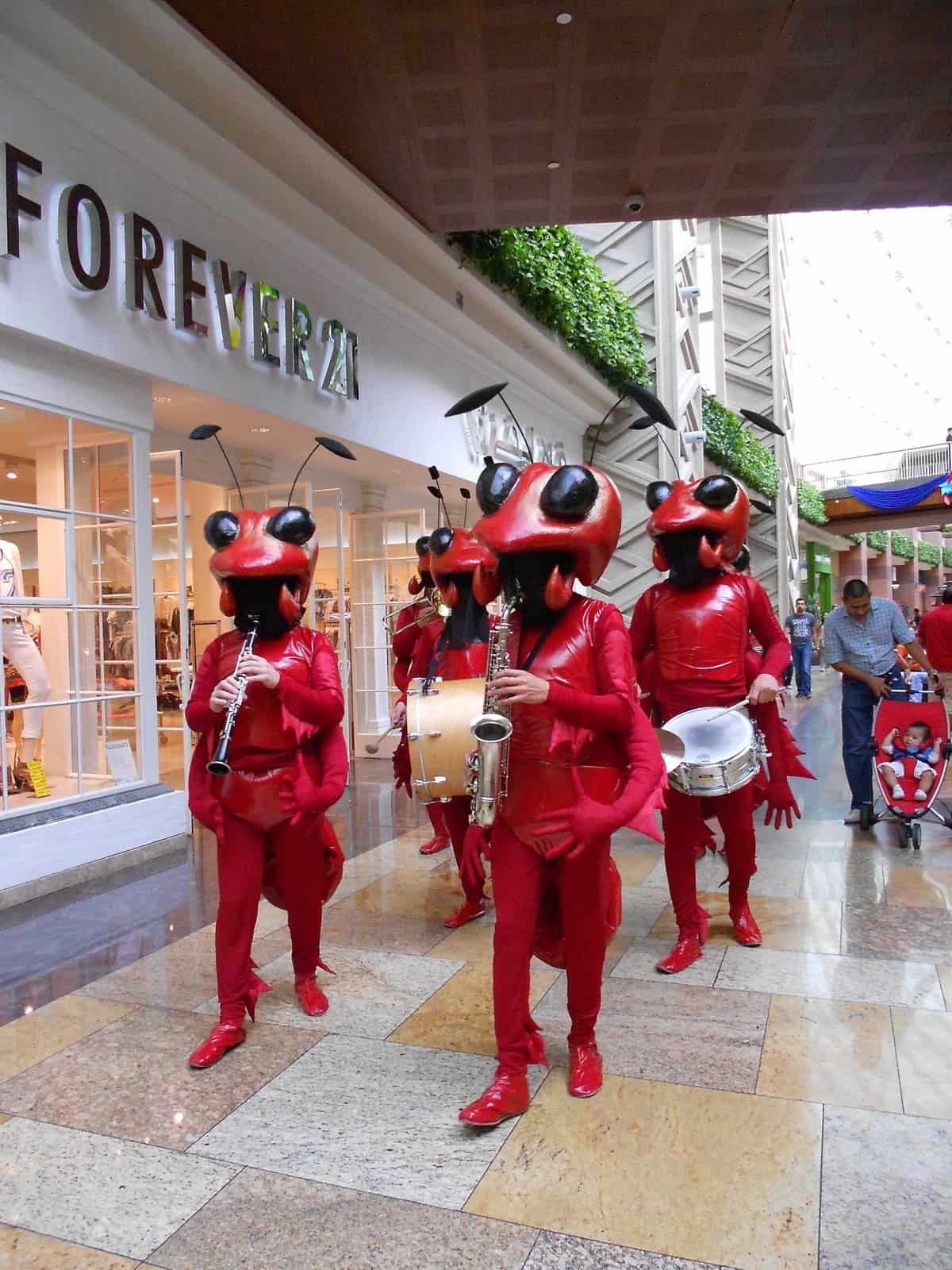 Book our Ant orchestra for your next event. Our Ant orchestra can be hired for events in the UK. Book our Ant orchestra for your next event. Our Ant orchestra can be hired for events in the UK.