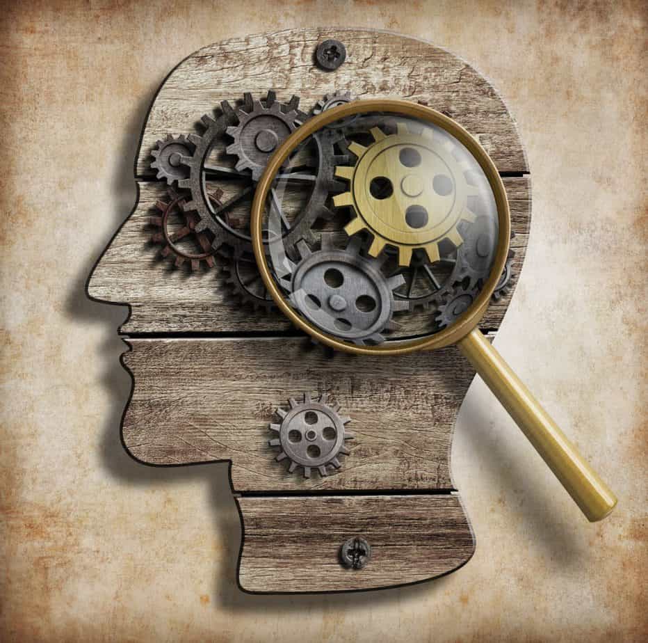 formation mentalité de croissance en gestion