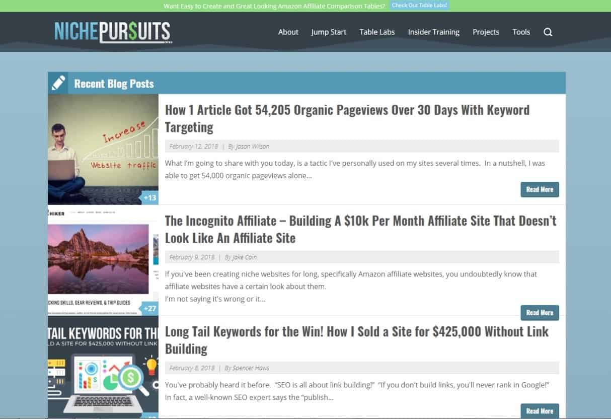 Blog Niche Pursuits Affiliate Marketing