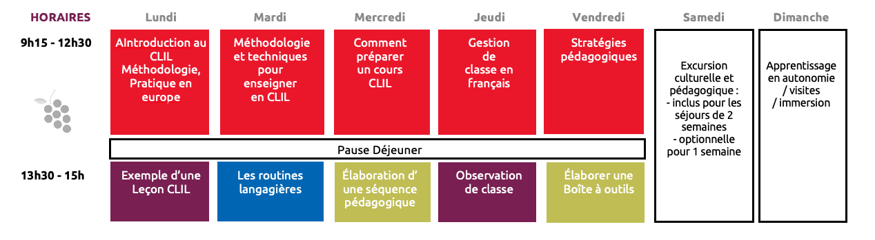 enseigner sa matière en français