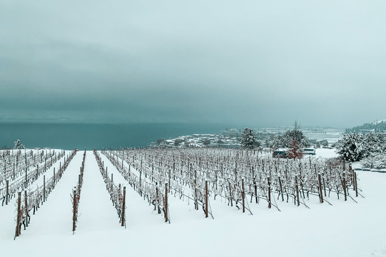 Kelowna, British Columbia Winery, Canada - ClairePins Travel