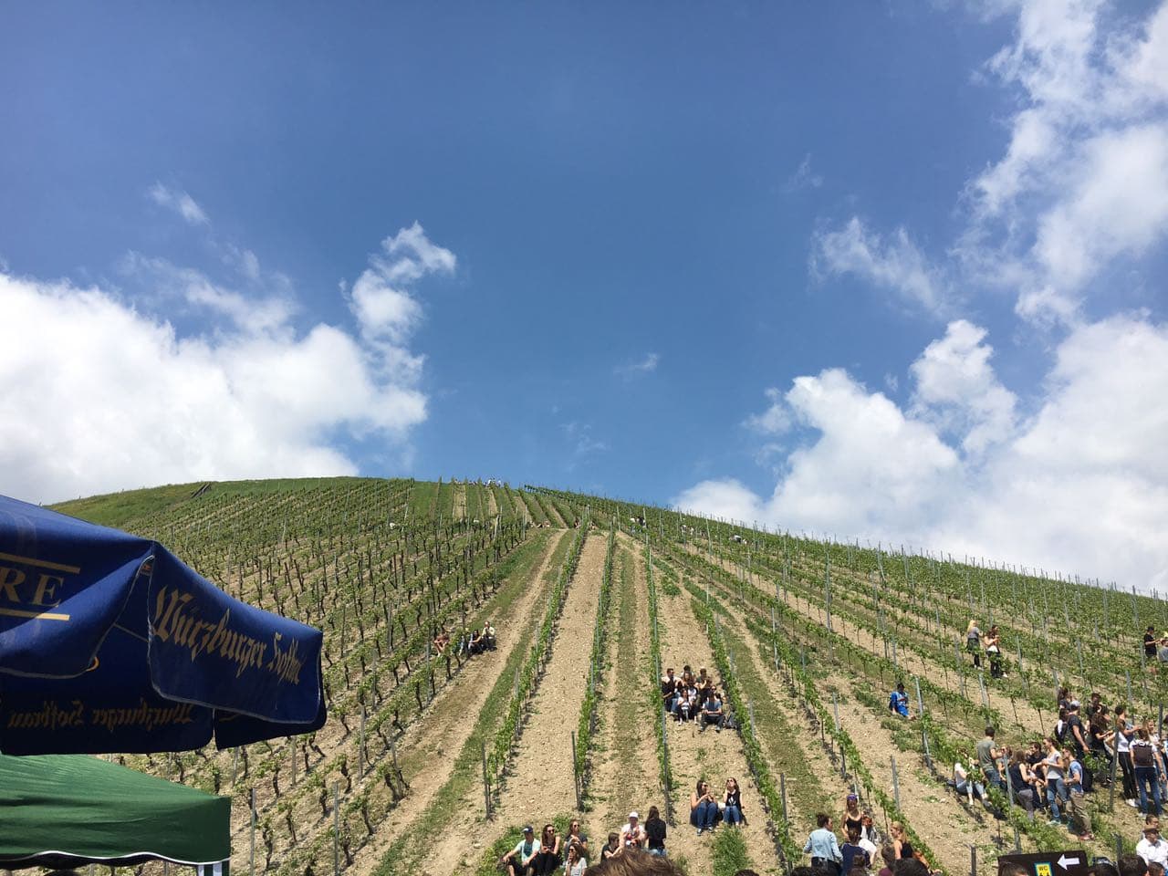 Mit dem Bochsbeutelexpress durch die Weinberge.
