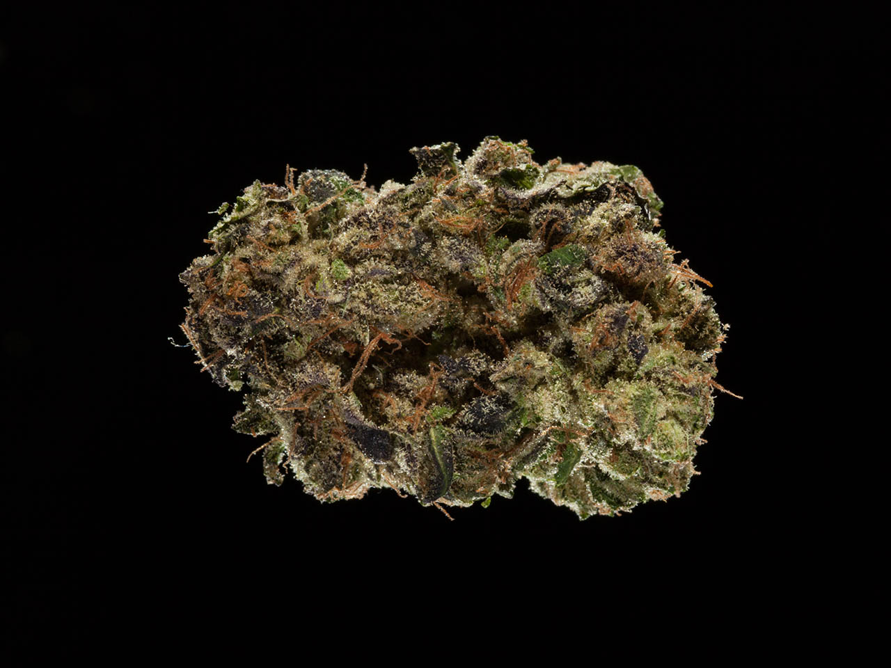 2016 Michigan Medical Cannabis Cup, Top 5 CBD Flowers