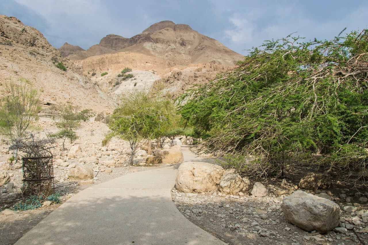 Trasa do wodospadu Dawida w Ein Gedi w Izraelu.