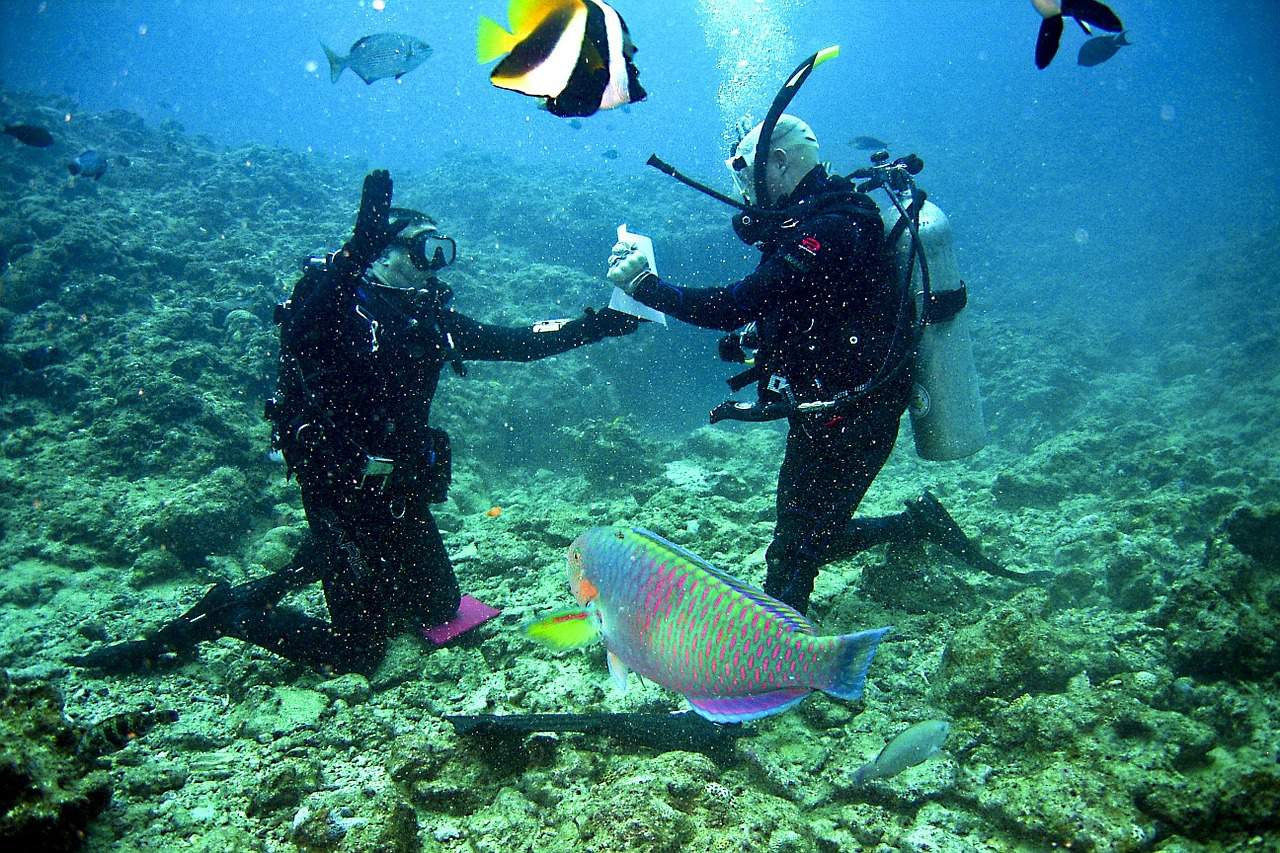 Divers communicating underwater Divers communicating underwater