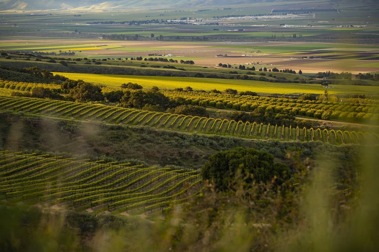 2 Day Itinerary: Santa Lucia Highlands of Monterey County • Winetraveler