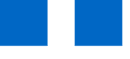 NetApp partner