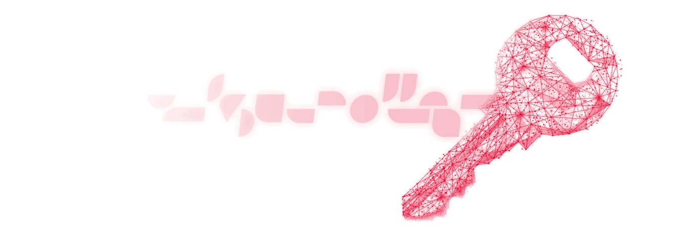 Billixx Network Access Security