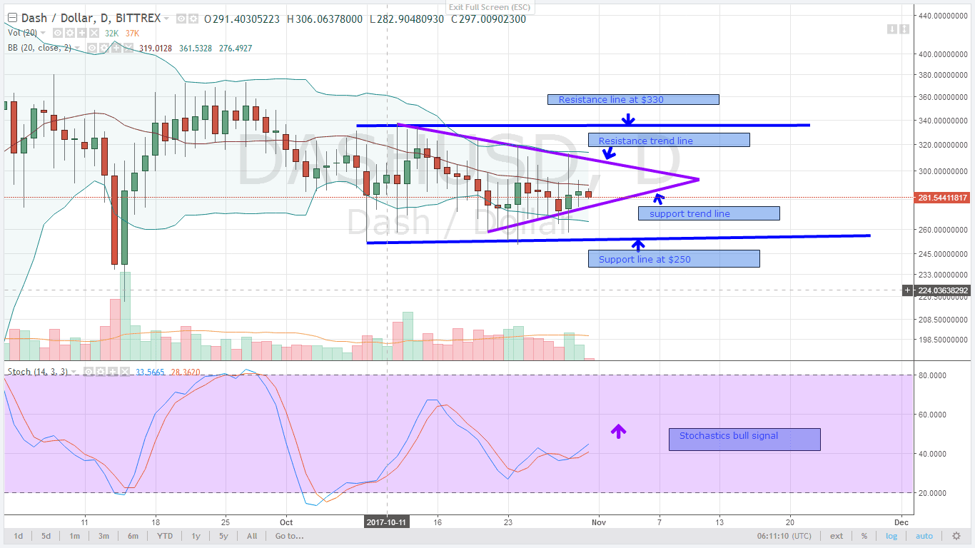 alt coin DASH Daily chart