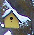 DIY Chickadee House diy bird house covered in now. Yellowish in color.