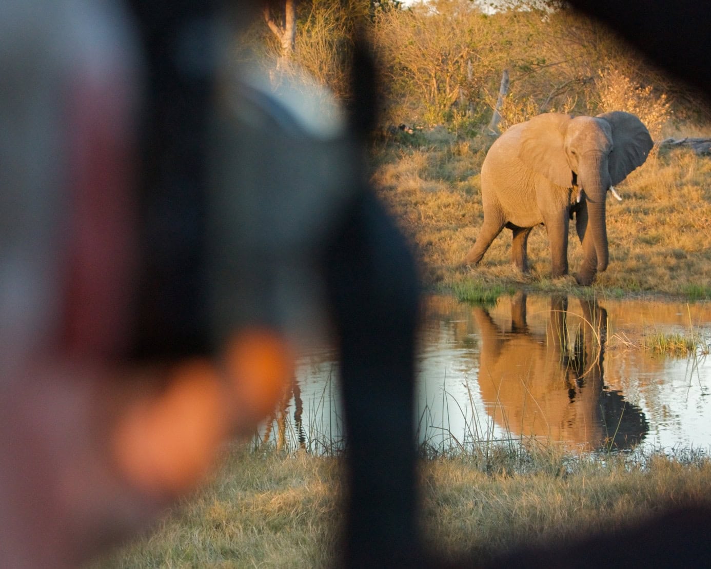 admiral-travel-luxury-agency-custom-itinerary-bucket-list-trip-safari
