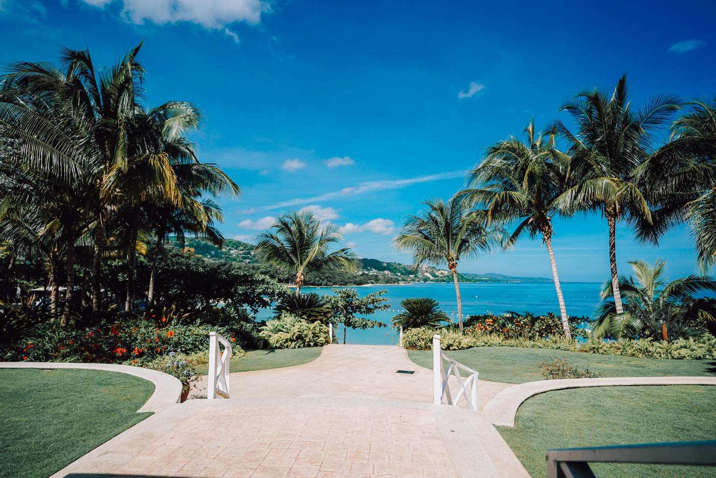 Round Hill Jamaica Resort and Villas A Lily Love Affair