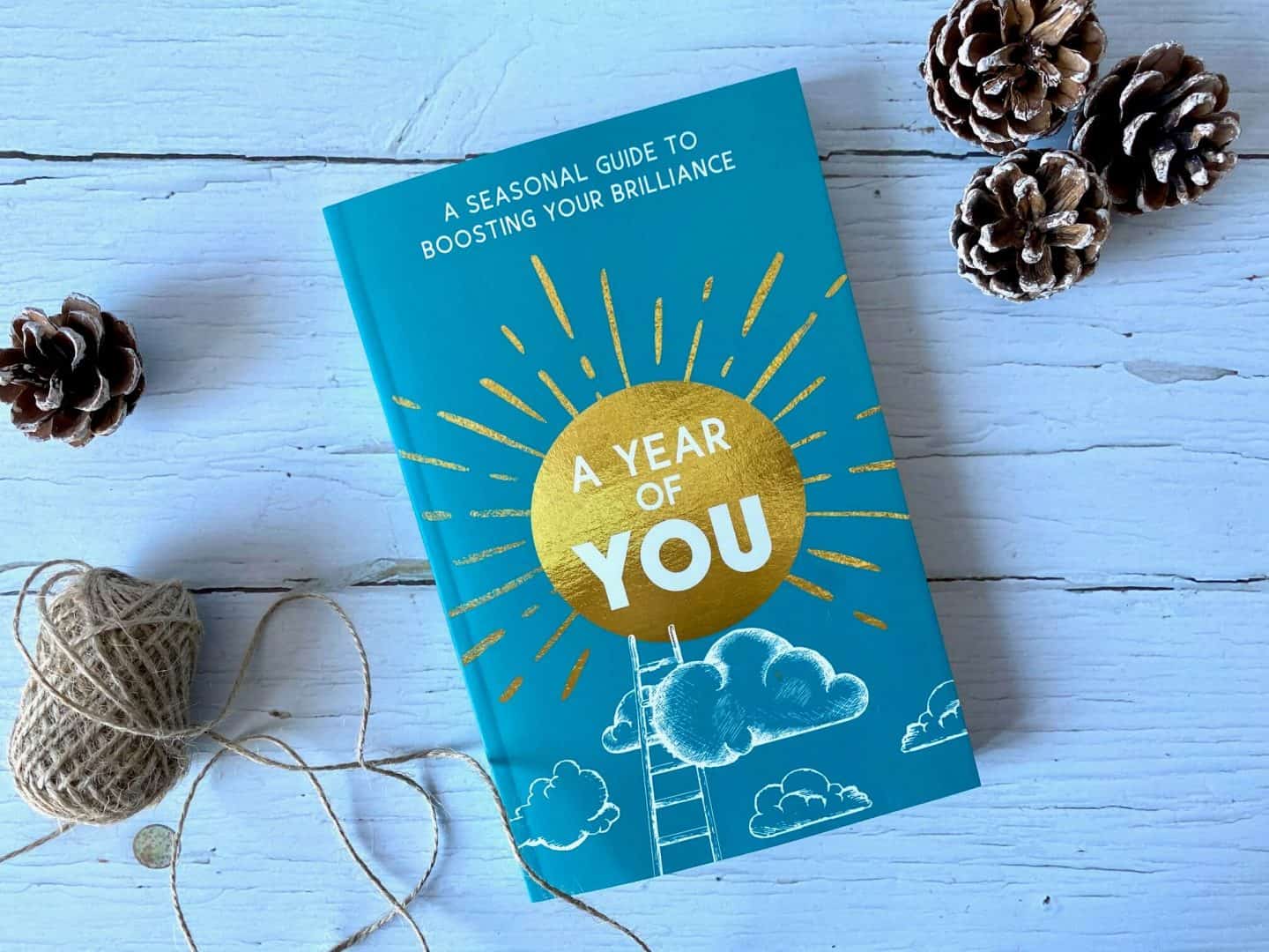 A Year of You