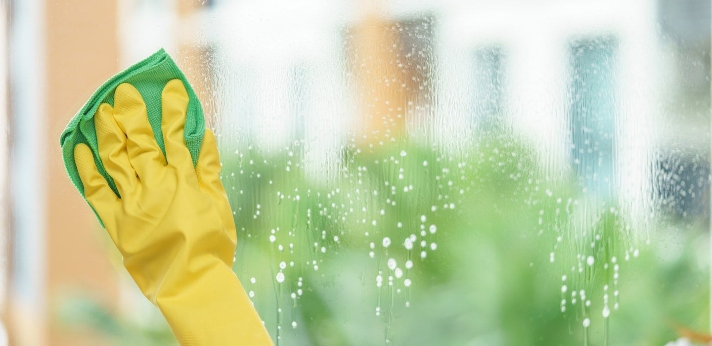 housecleaner cleaning window